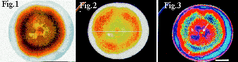 [ Image: Figures 1,2, and 3 ]